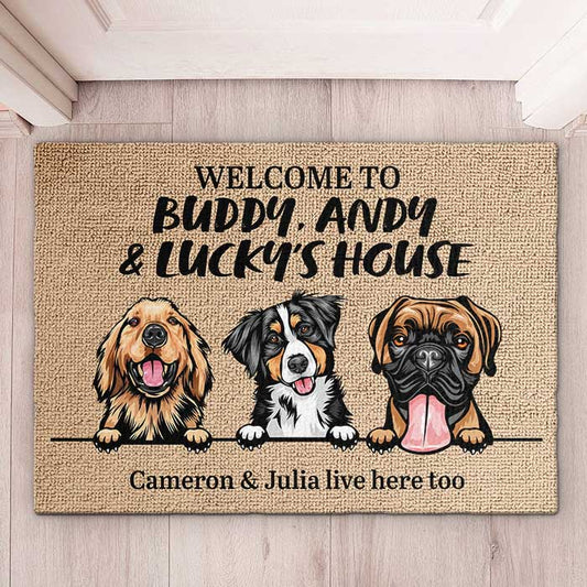 Welcome Mats Outdoor, Cute Doormat